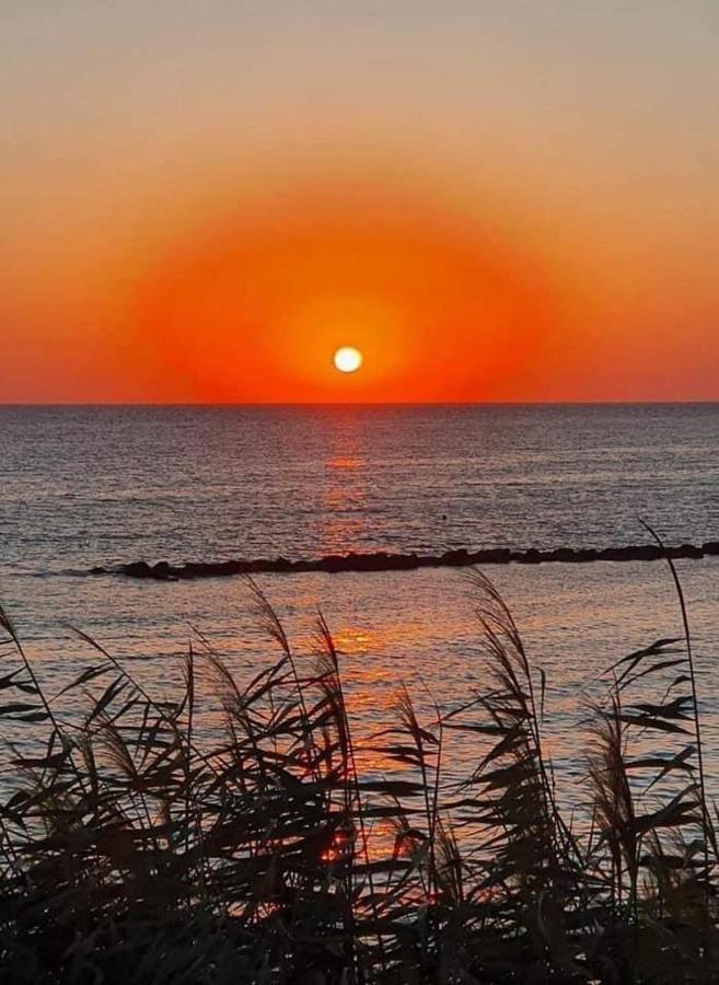 Elena'S Guest House A Paphos Luaran gambar